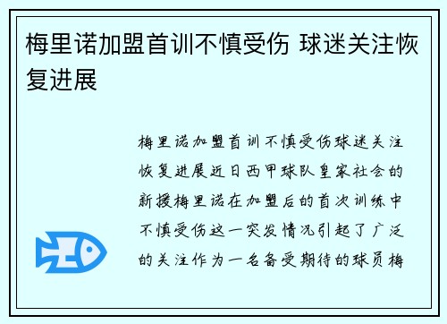 梅里诺加盟首训不慎受伤 球迷关注恢复进展
